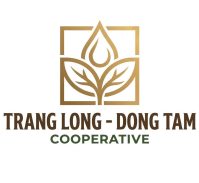 logo htx